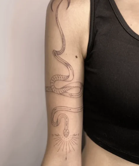 culebra ornamental3insta culebra ornamental3insta