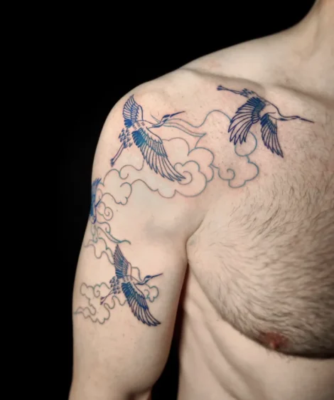 garzas azules1 garzas azules1