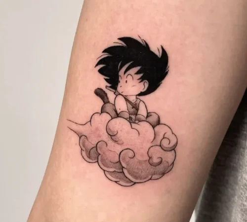 goku flipao