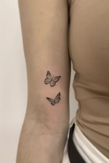 mariposillas1 mariposillas1