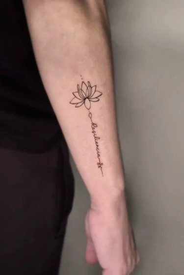 resiliencia1 resiliencia1