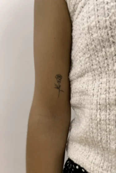 rosita curada1 rosita curada1