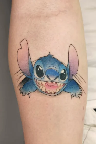 stich stich