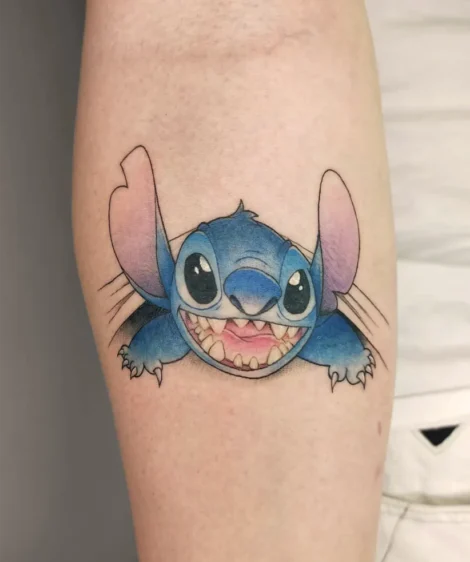 stich stich
