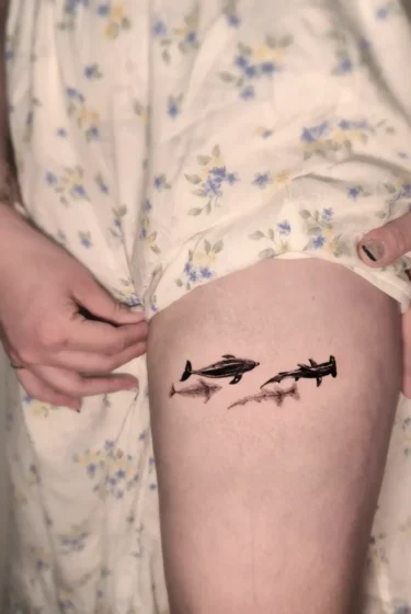 tiburon delfin1 tiburon delfin1