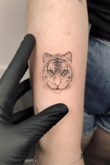 tigre mini7 tigre mini7