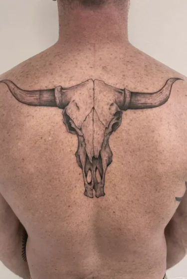 toro skull toro skull